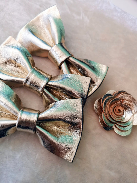 Champagner Brautigam Hochzeit Fliege